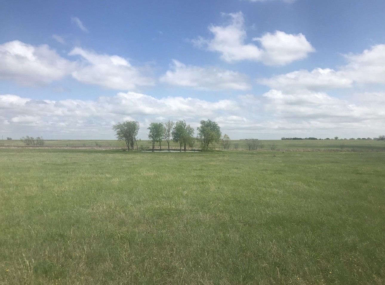 Tbd County Road Pecan Gap TX 75469