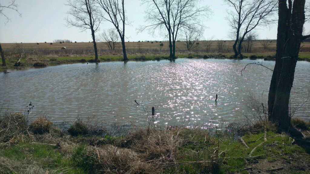 Tbd County Road Pecan Gap TX 75469