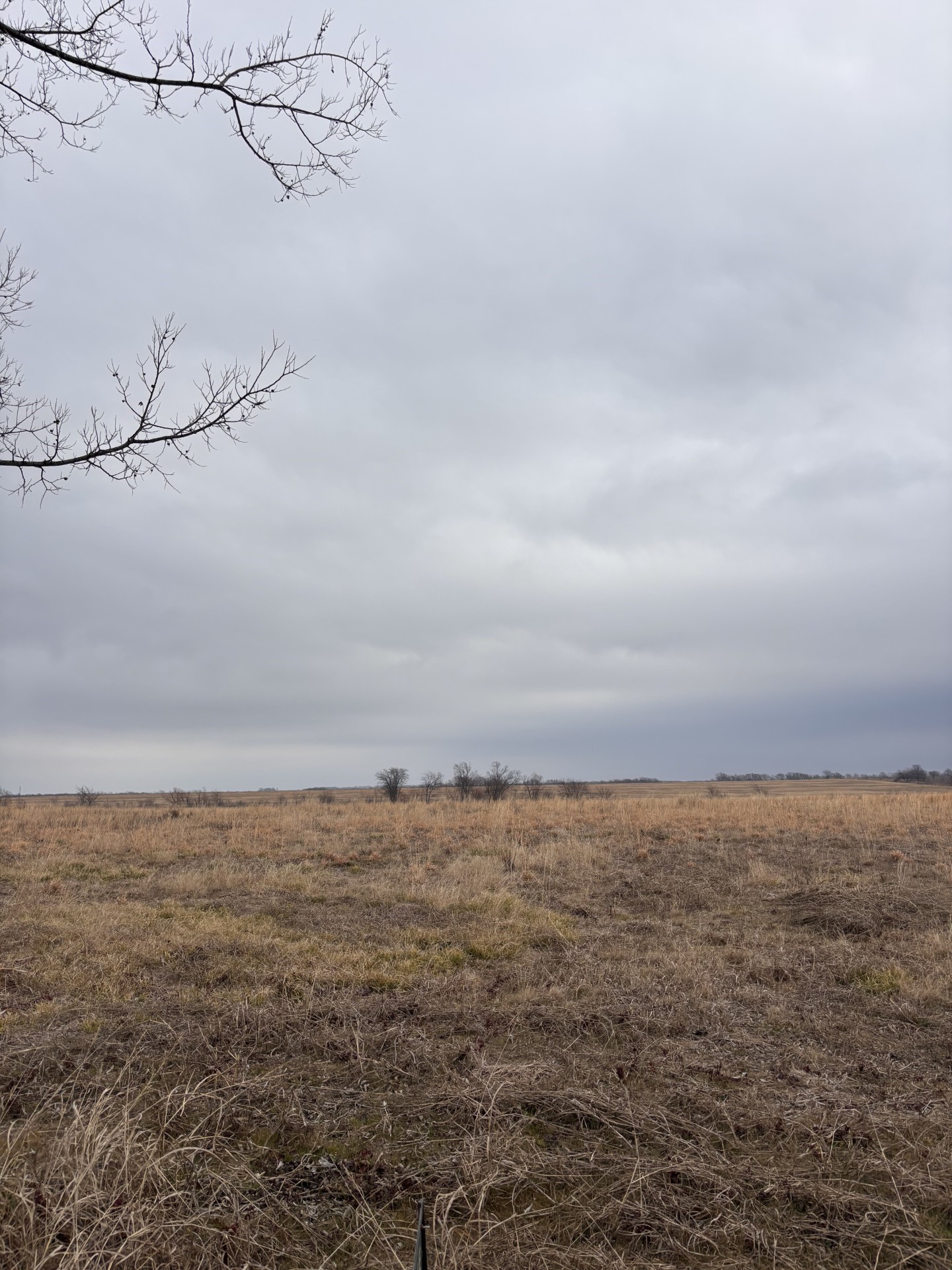 Tbd County Road Pecan Gap TX 75469