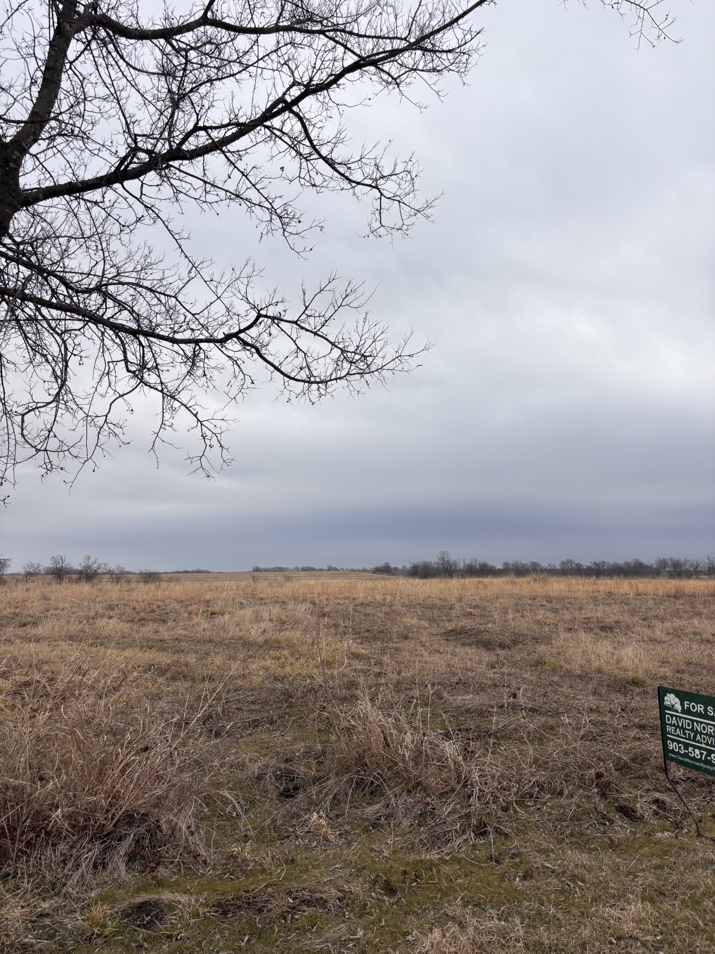 Tbd County Road Pecan Gap TX 75469