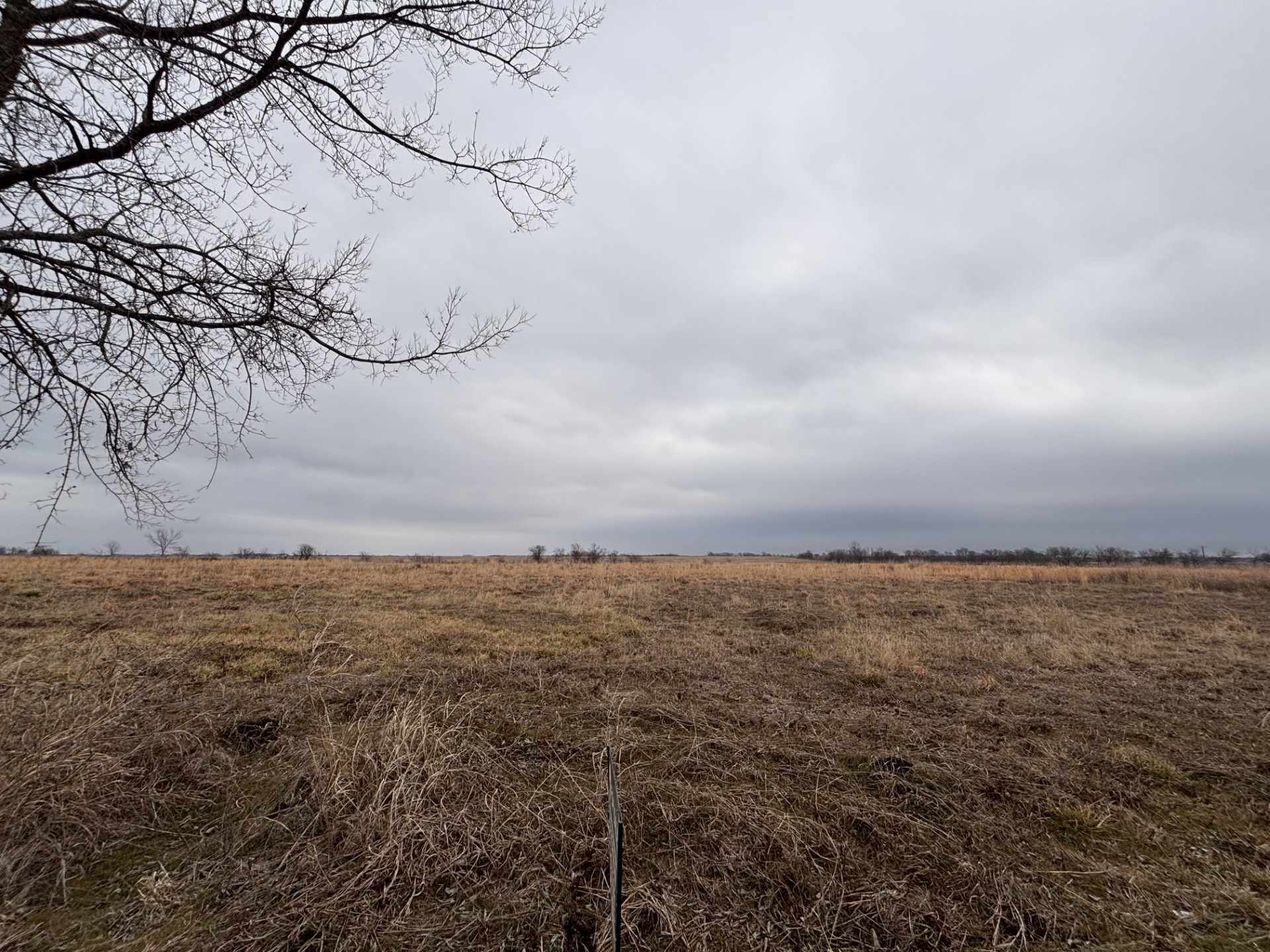 Tbd County Road Pecan Gap TX 75469
