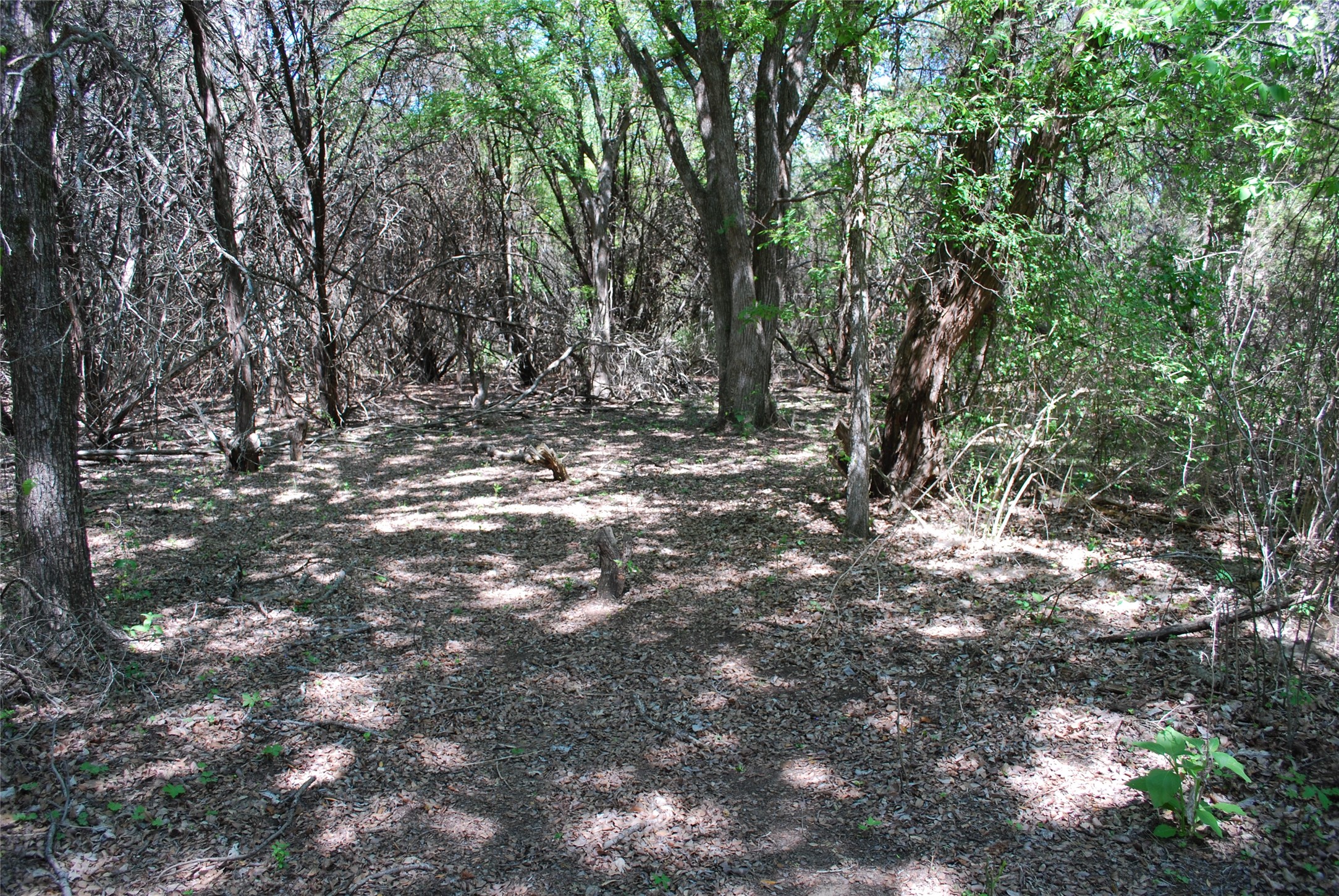30087 Woodcrest Court Whitney TX 76692