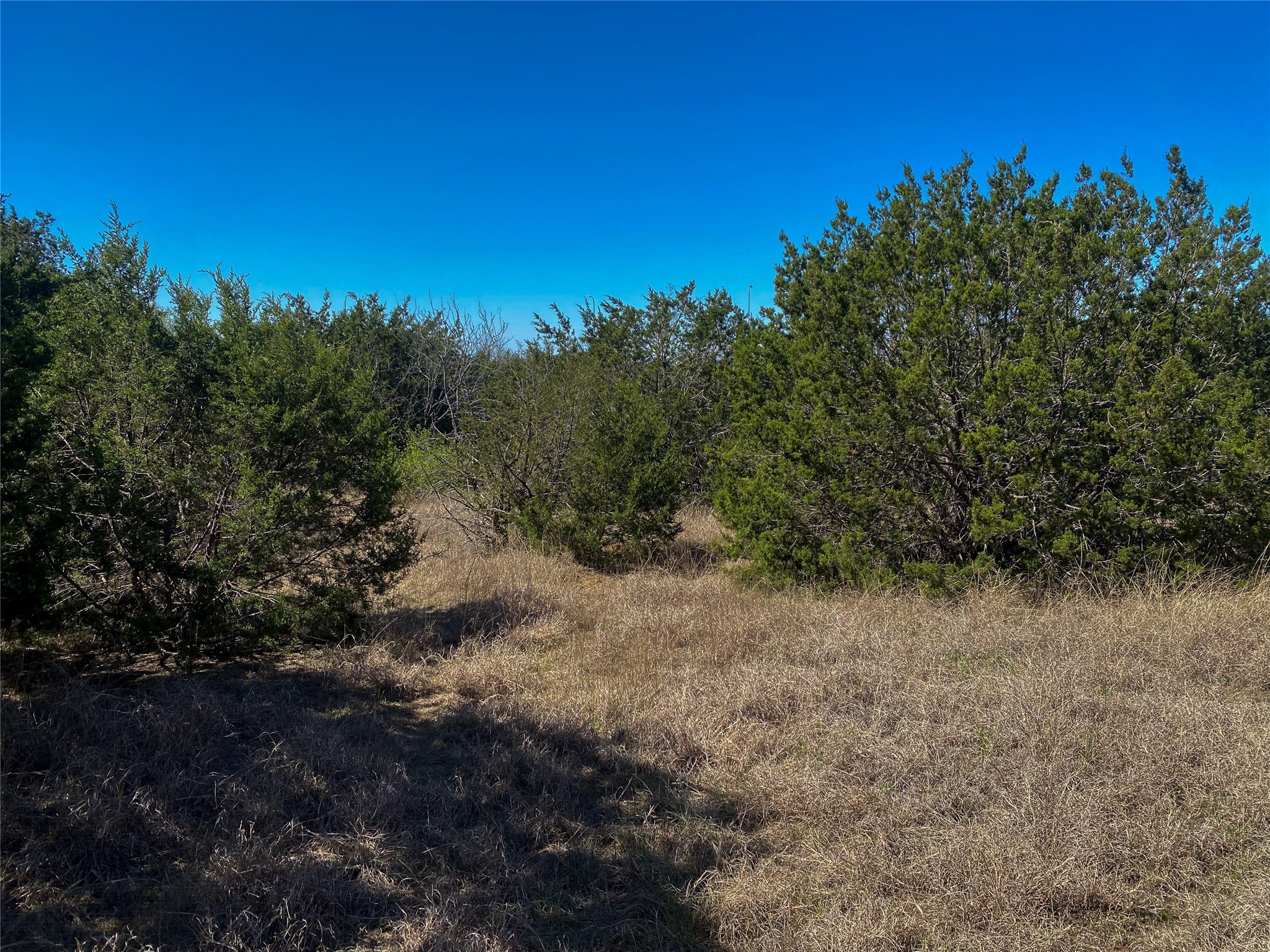 1700 Don Lee Road Cleburne TX 76058