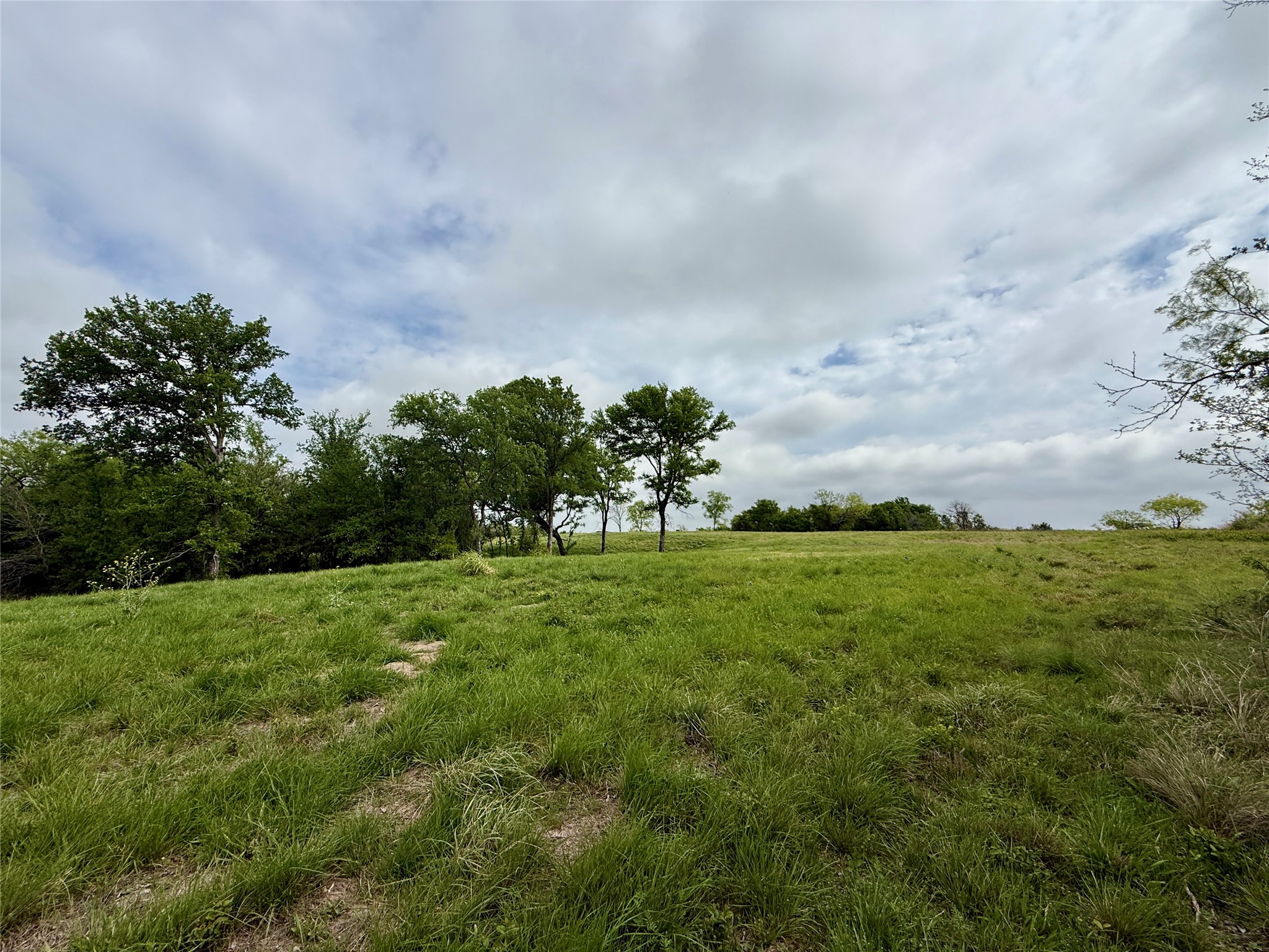 Lot 63 Sunset Court Corsicana TX 75109