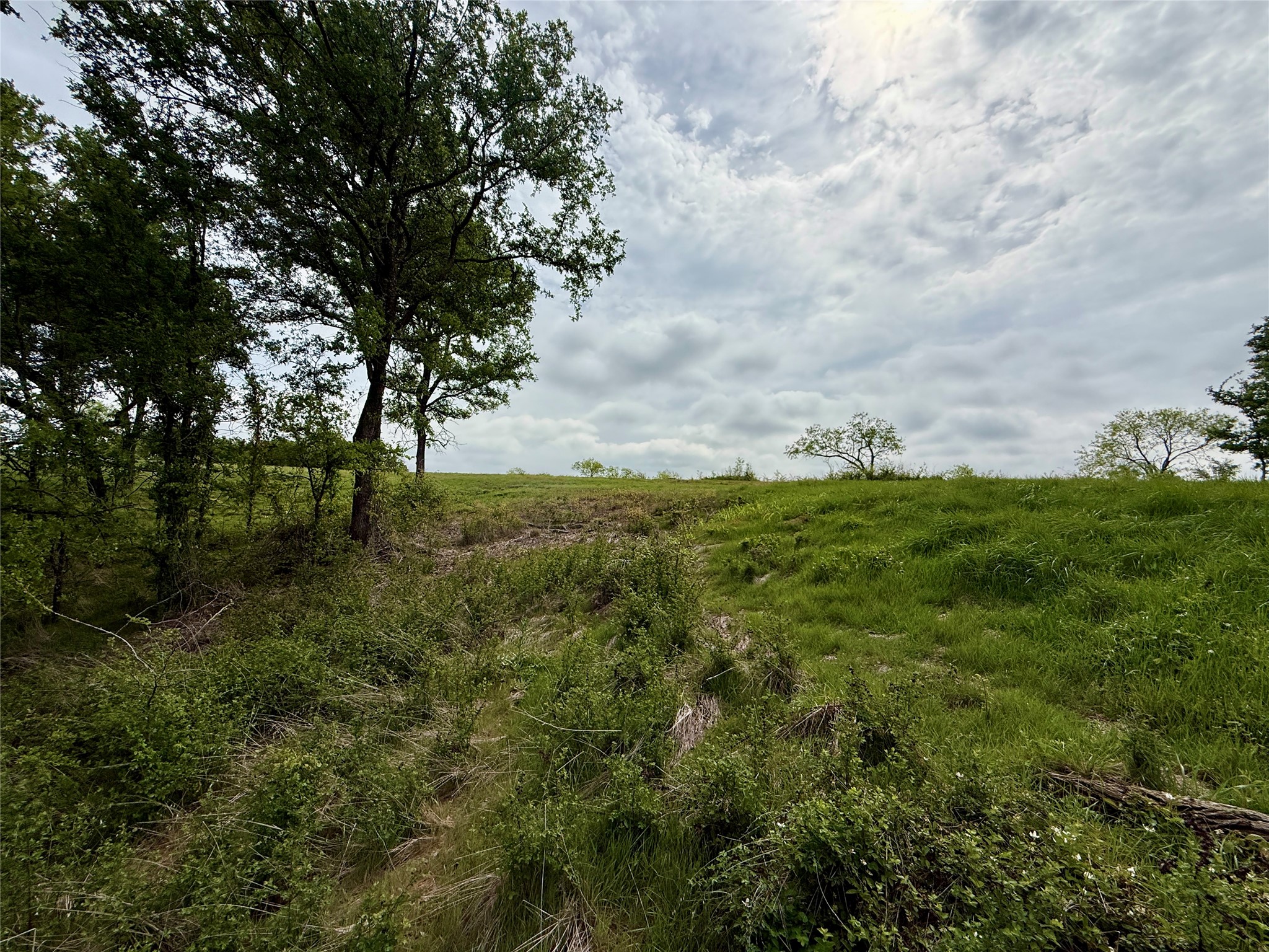 Lot 63 Sunset Court Corsicana TX 75109