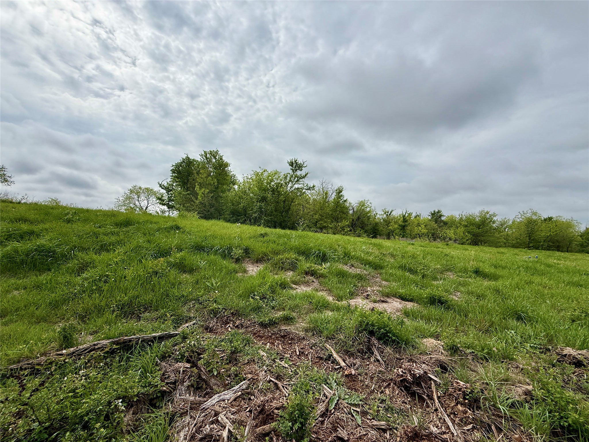 Lot 63 Sunset Court Corsicana TX 75109