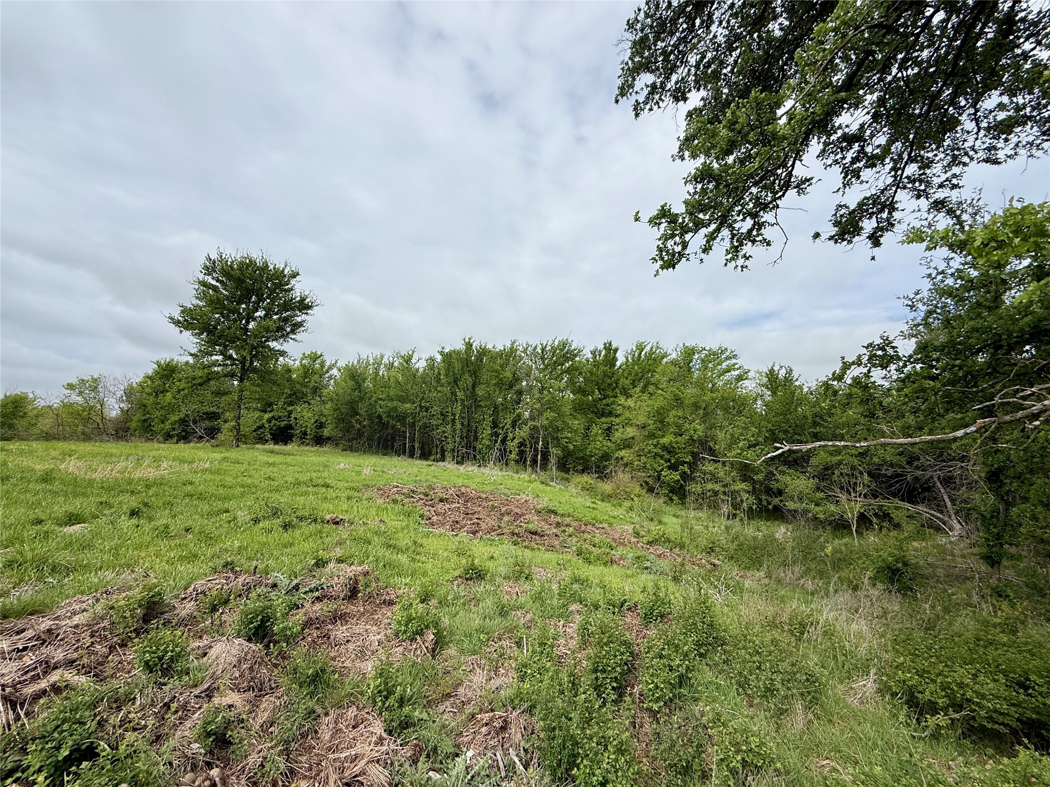 Lot 63 Sunset Court Corsicana TX 75109