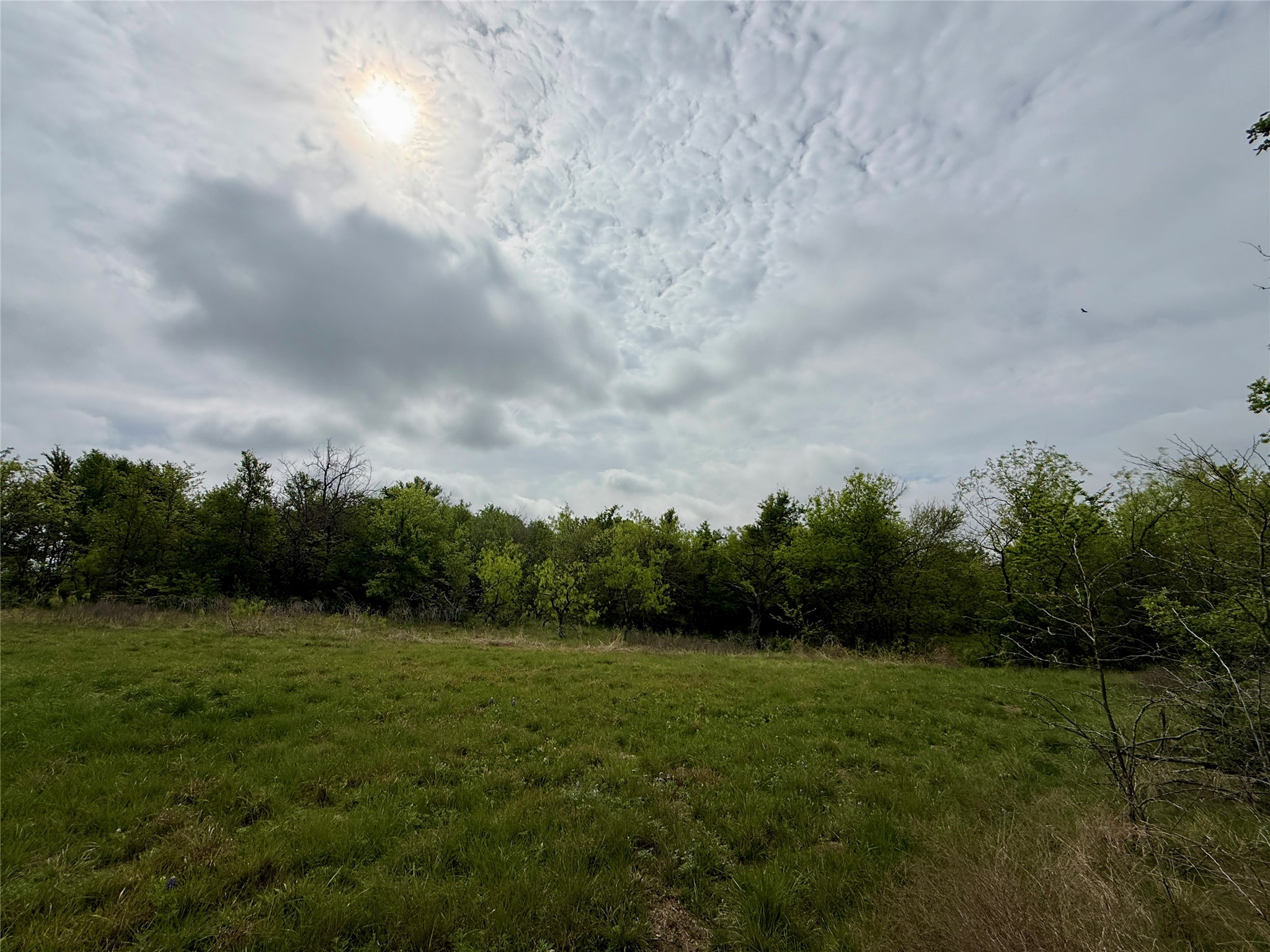 Lot 63 Sunset Court Corsicana TX 75109