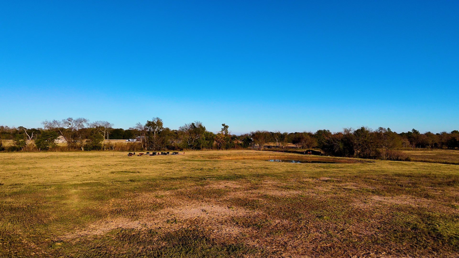 6165 Cr-253 Terrell TX 75160