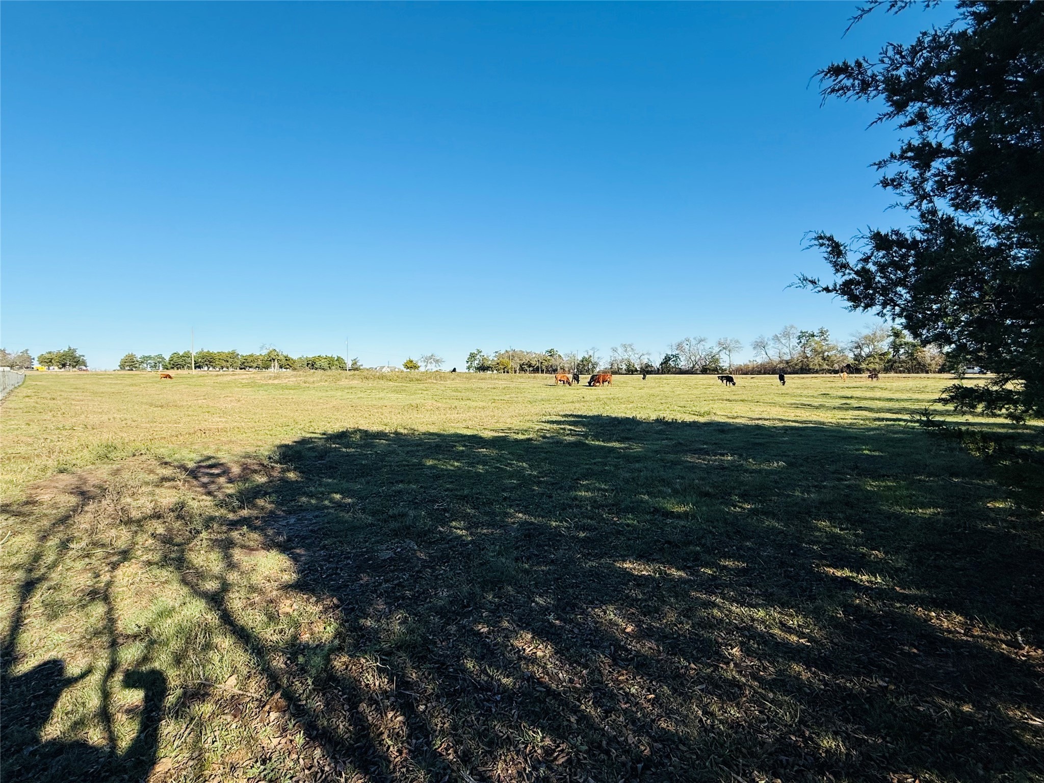 6165 Cr-253 Terrell TX 75160