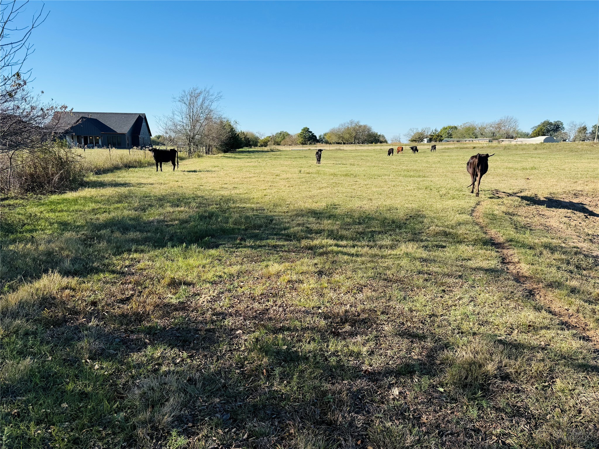 6165 Cr-253 Terrell TX 75160