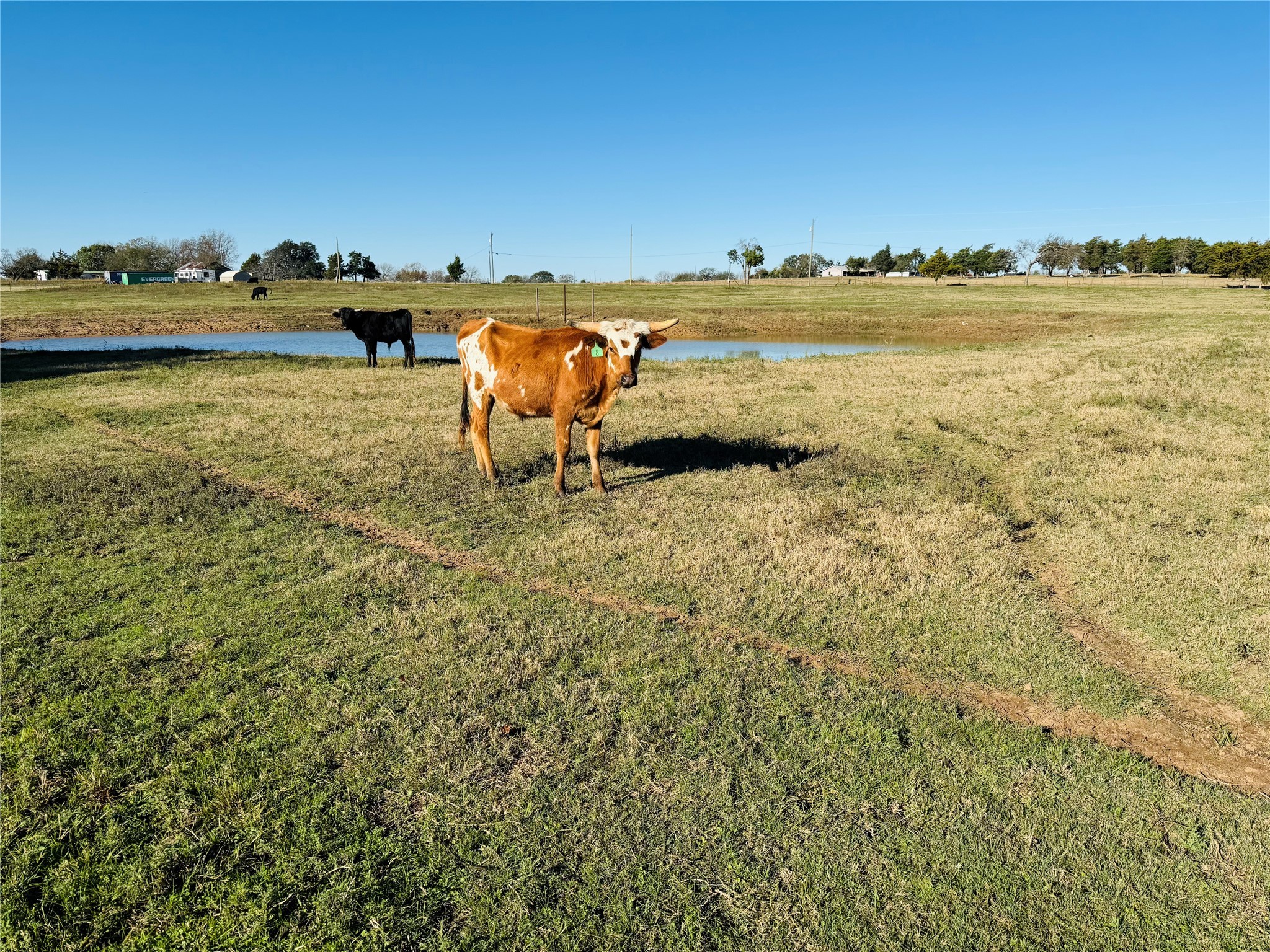 6165 Cr-253 Terrell TX 75160
