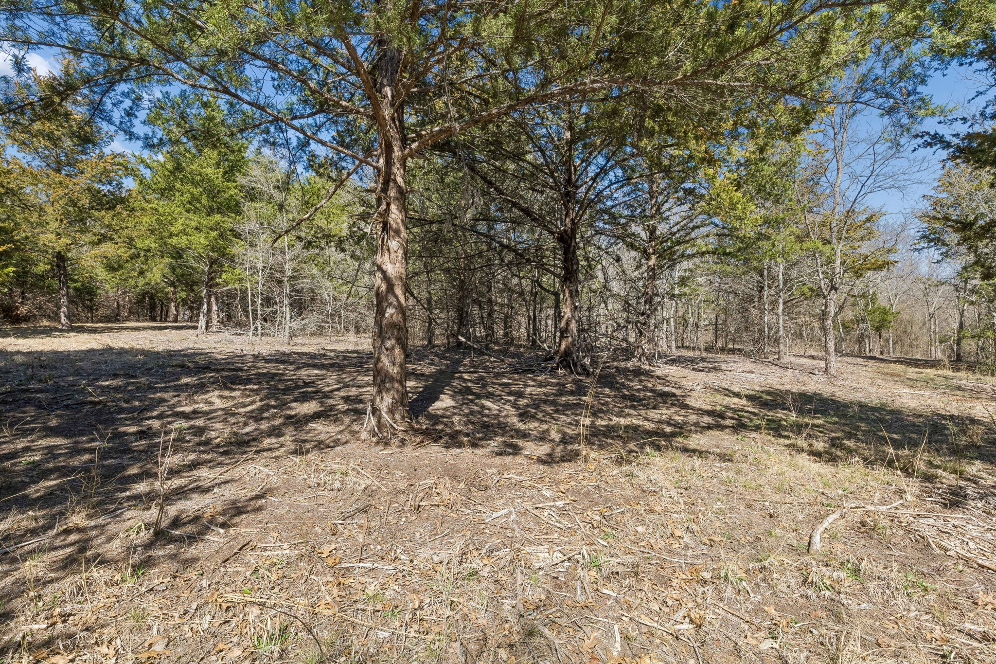 2595 Cr 222 Anna TX 75409