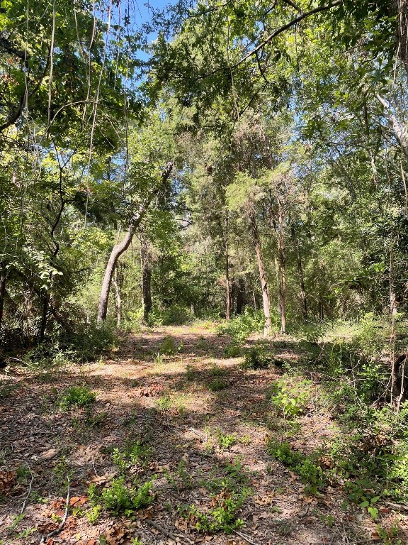 Tbd 00 Lcr 828 Groesbeck TX 76642