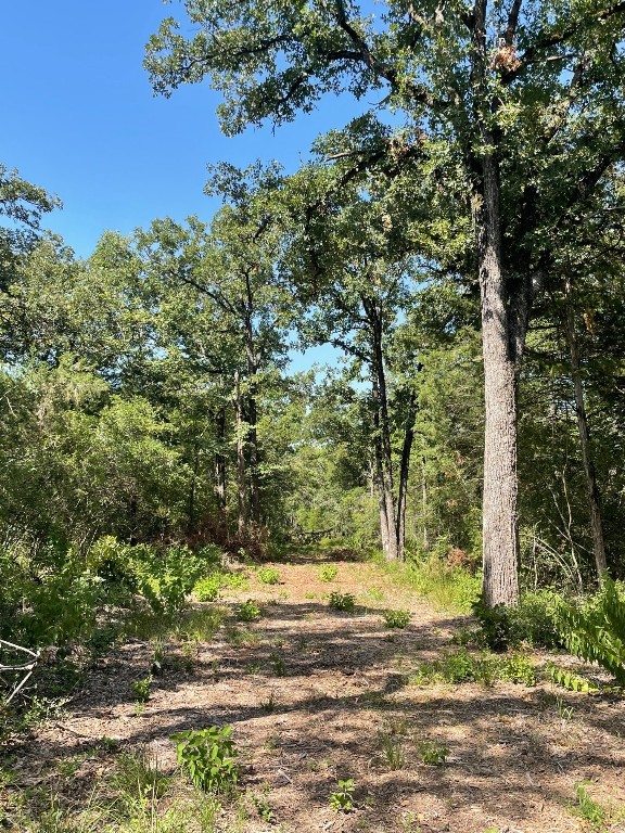 Tbd 00 Lcr 828 Groesbeck TX 76642