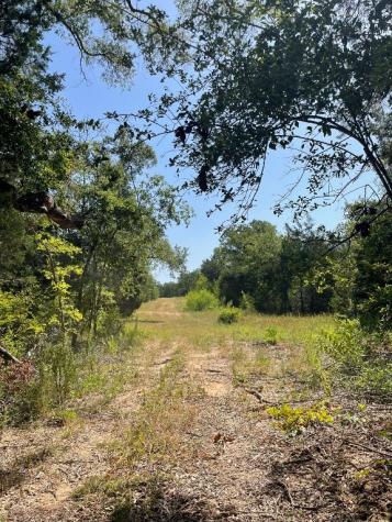 Tbd 00 Lcr 828 Groesbeck TX 76642
