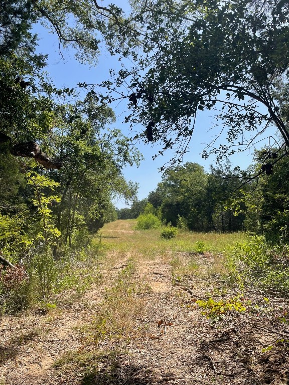 Tbd 00 Lcr 828 Groesbeck TX 76642