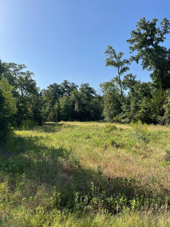 Tbd 00 Lcr 828 Groesbeck TX 76642