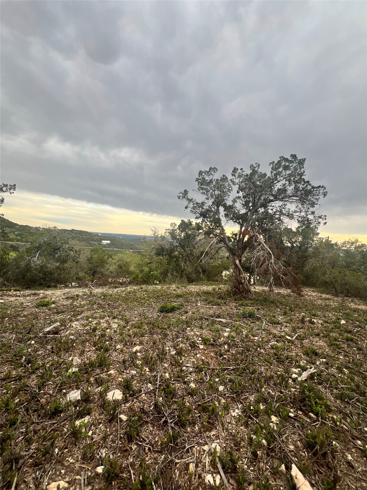 19705 Tyler Trail Leander TX 78645