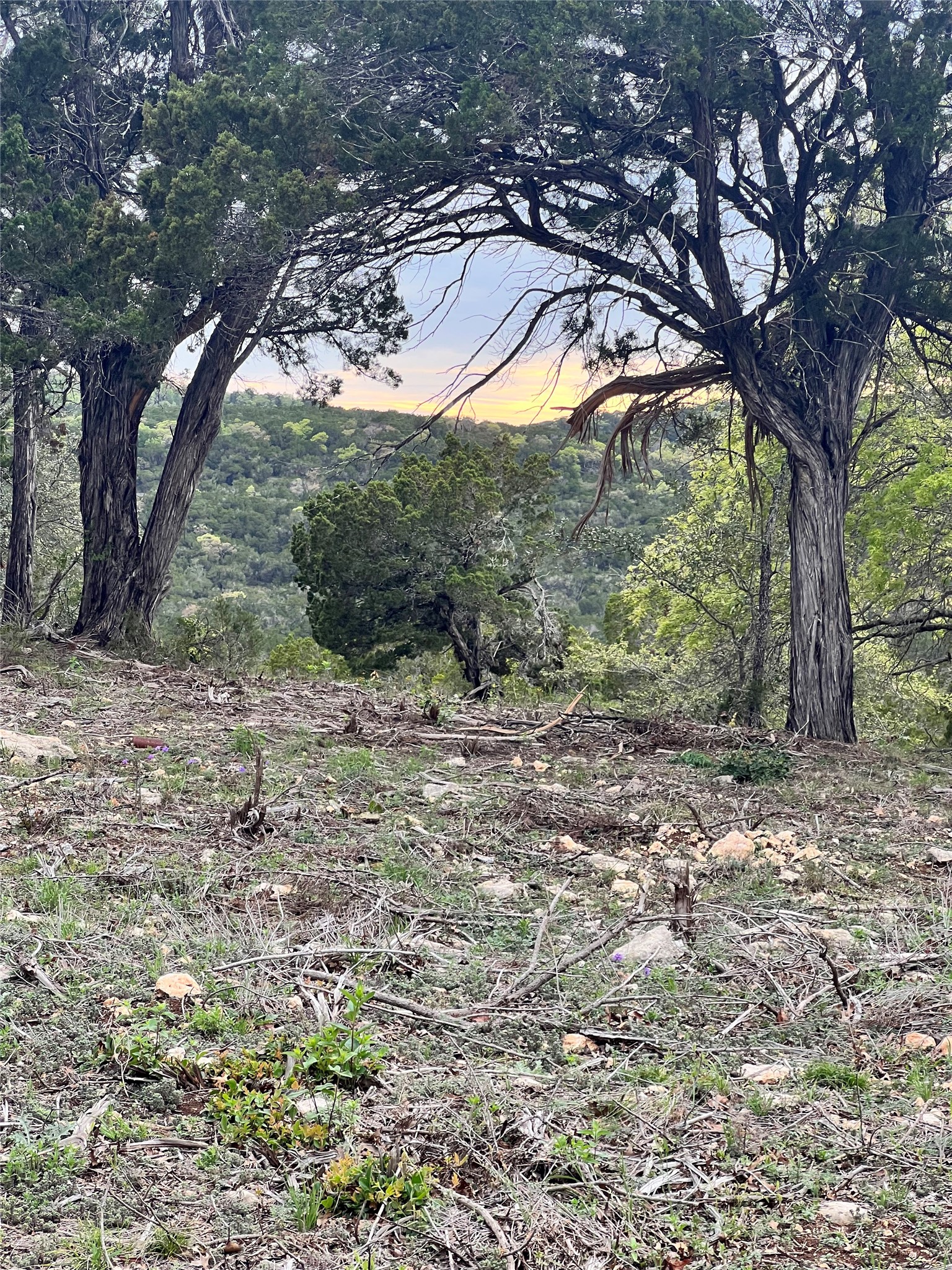 19705 Tyler Trail Leander TX 78645