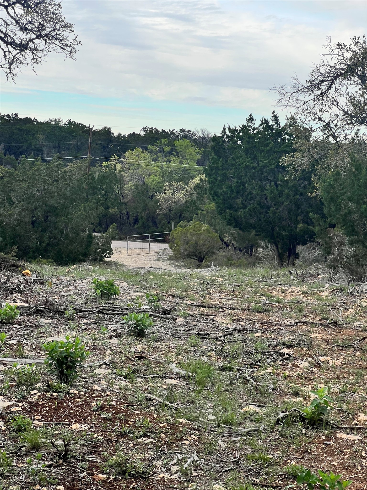 19705 Tyler Trail Leander TX 78645