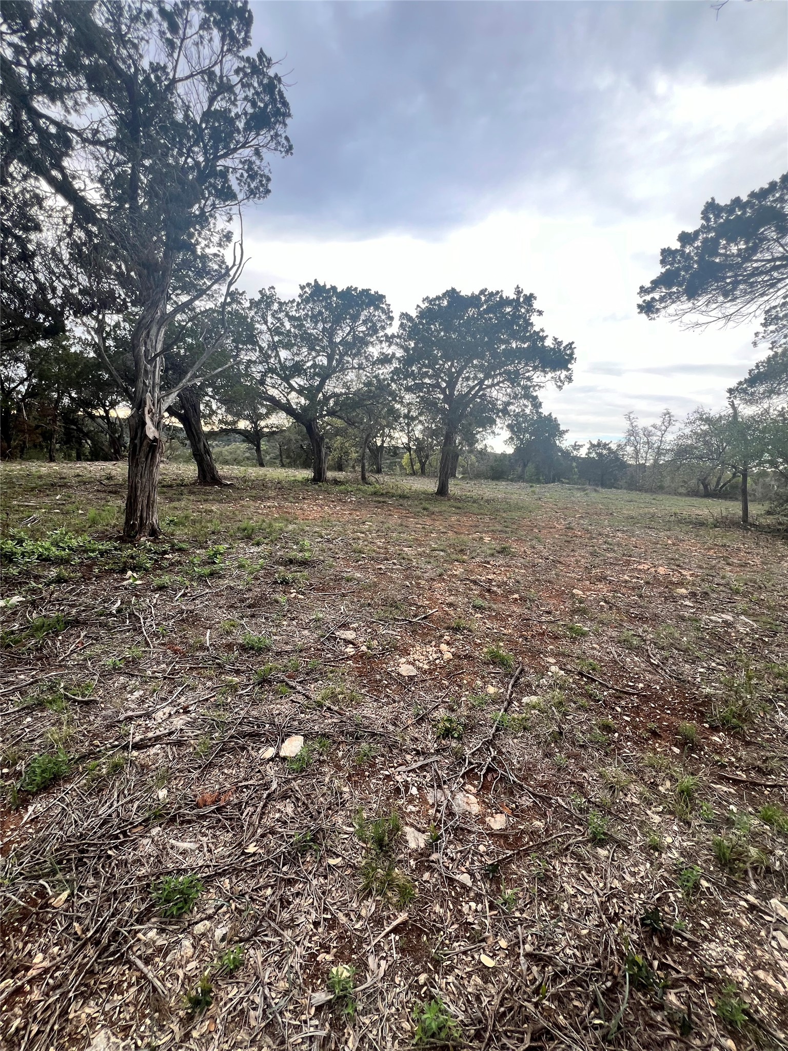 19705 Tyler Trail Leander TX 78645