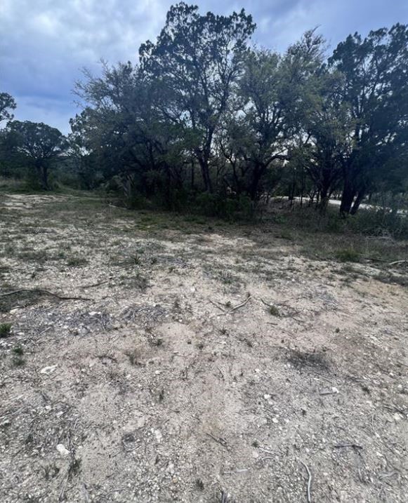 19705 Tyler Trail Leander TX 78645