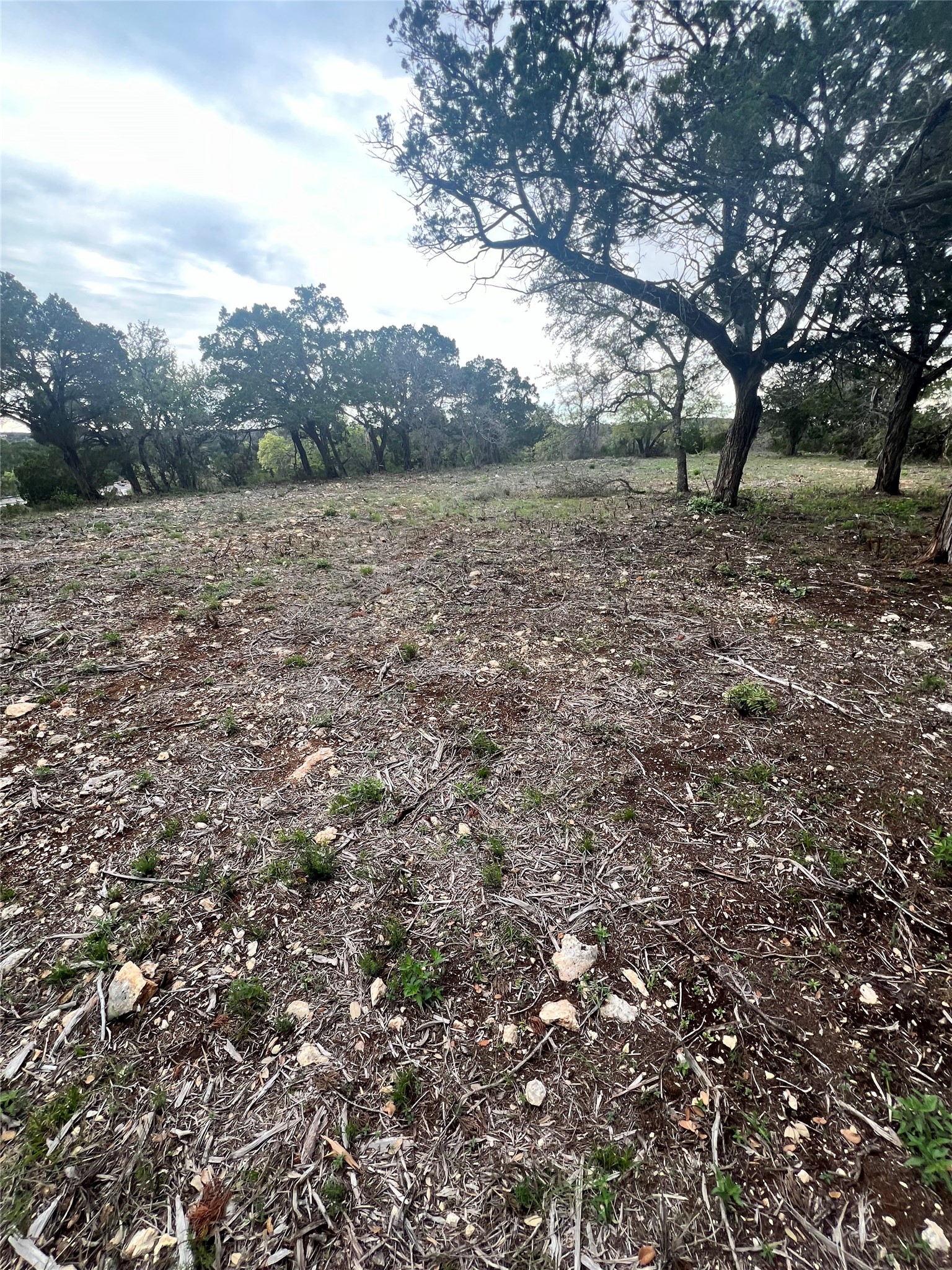 19705 Tyler Trail Leander TX 78645