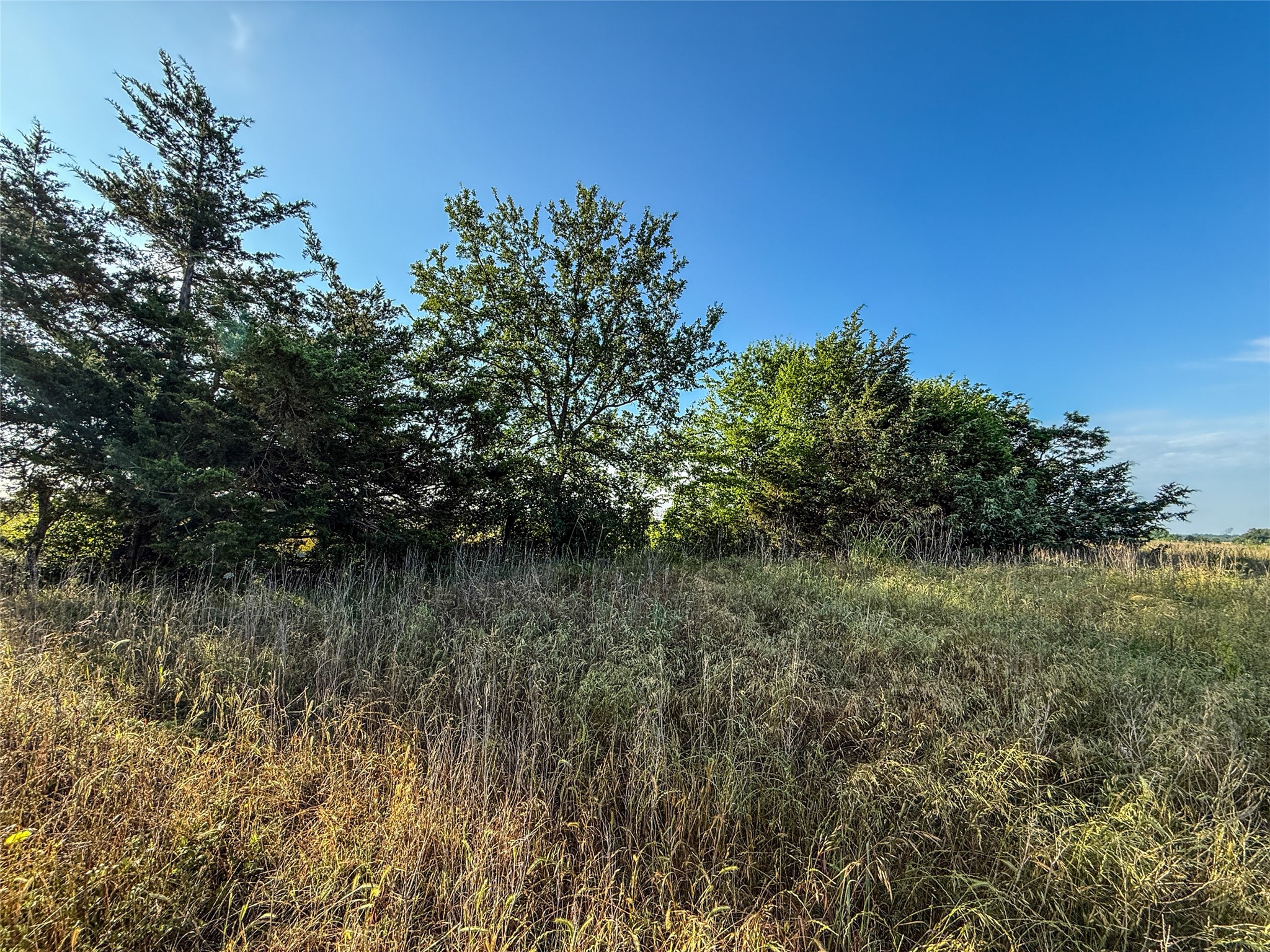 Tbd County Road 3444 Honey Grove TX 75446