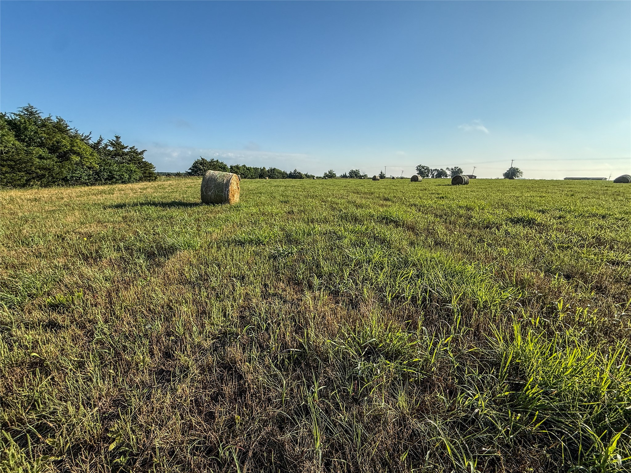 Tbd County Road 3444 Honey Grove TX 75446