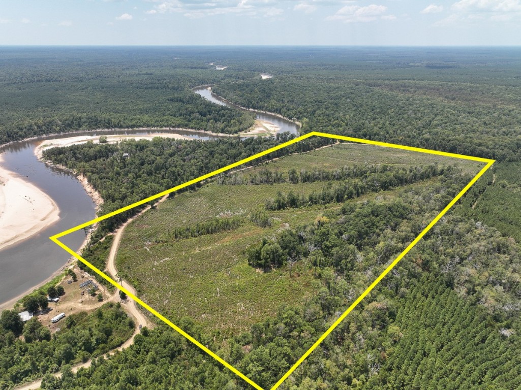 1 County Road 4085 Newton TX 75928