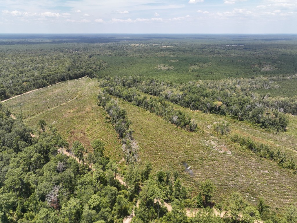 1 County Road 4085 Newton TX 75928