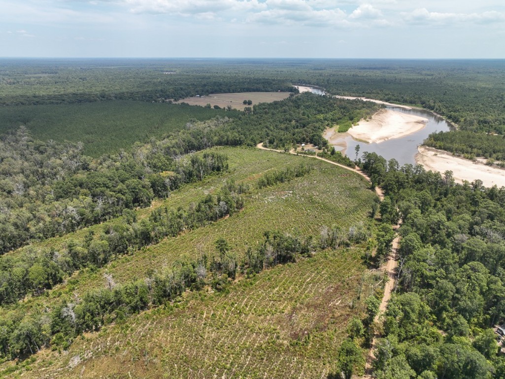1 County Road 4085 Newton TX 75928