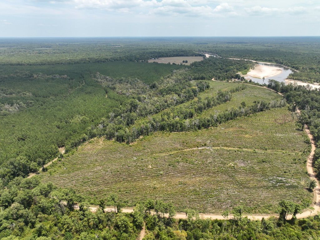1 County Road 4085 Newton TX 75928