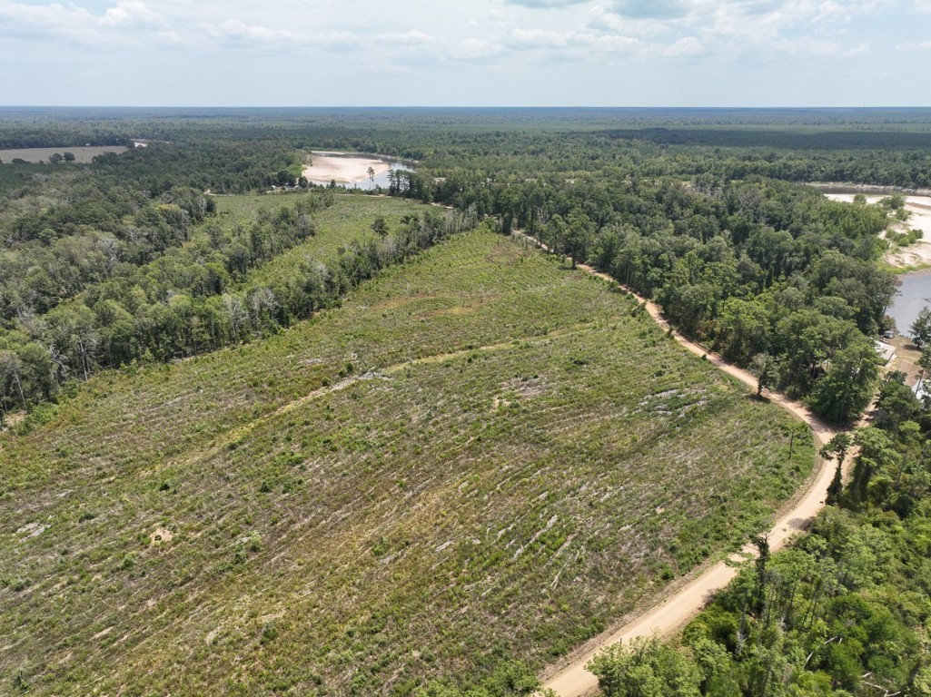 1 County Road 4085 Newton TX 75928