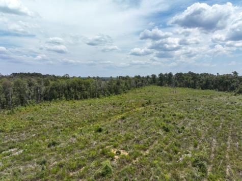 1 County Road 4085 Newton TX 75928
