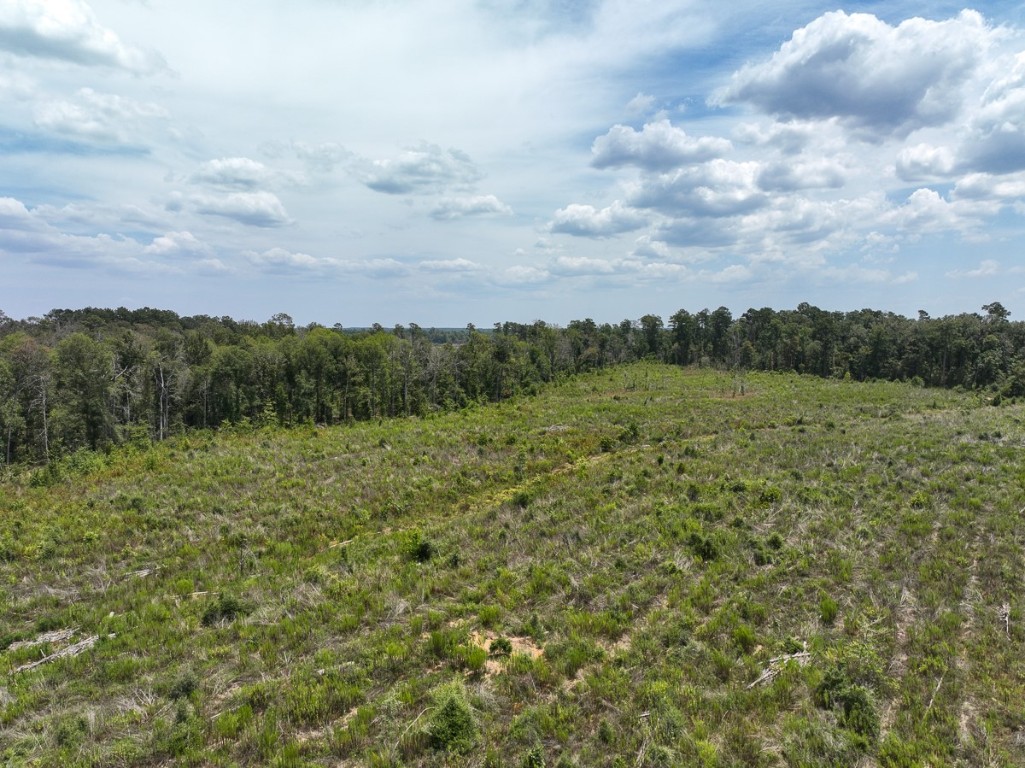 1 County Road 4085 Newton TX 75928