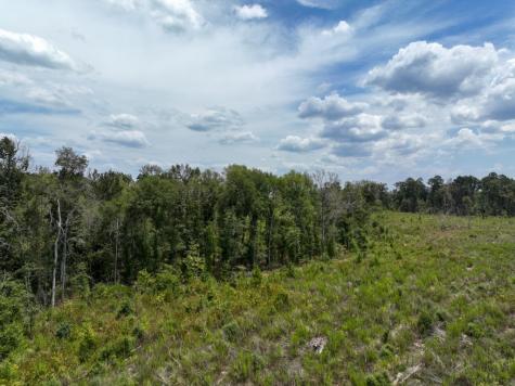 1 County Road 4085 Newton TX 75928