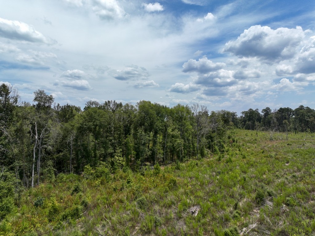 1 County Road 4085 Newton TX 75928