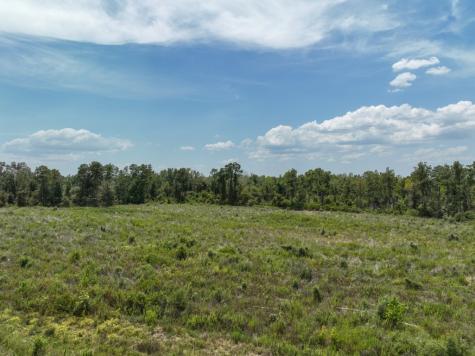 1 County Road 4085 Newton TX 75928