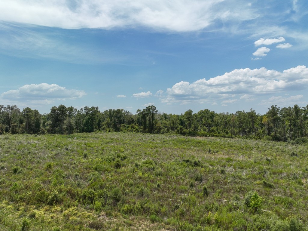 1 County Road 4085 Newton TX 75928
