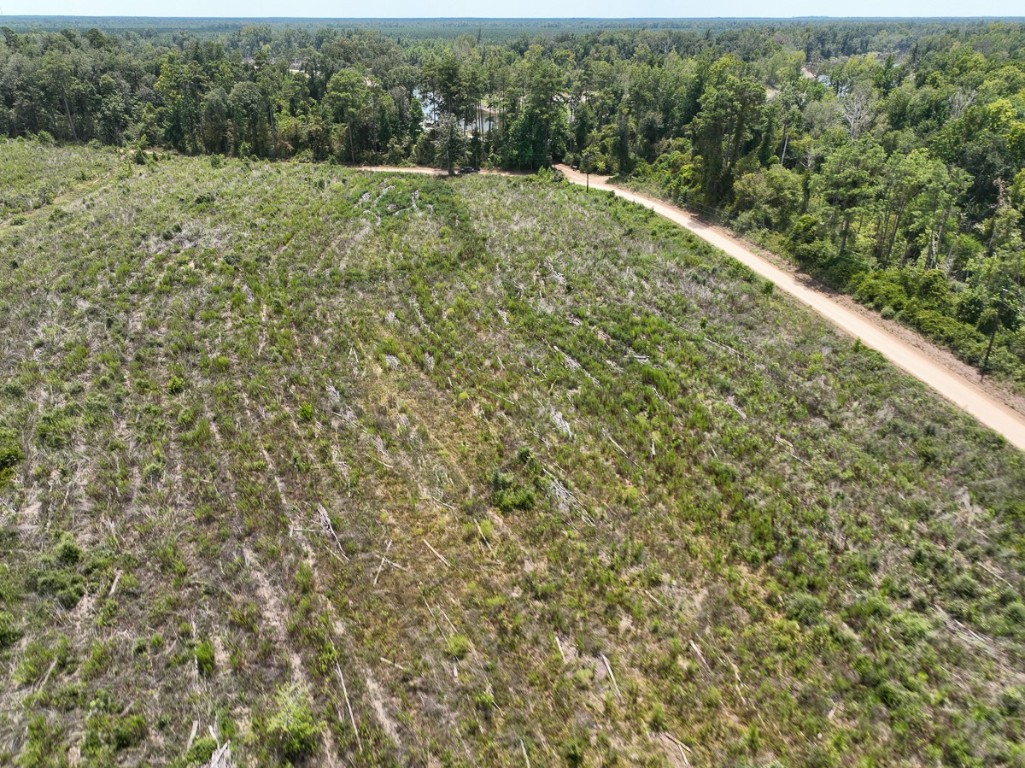 1 County Road 4085 Newton TX 75928