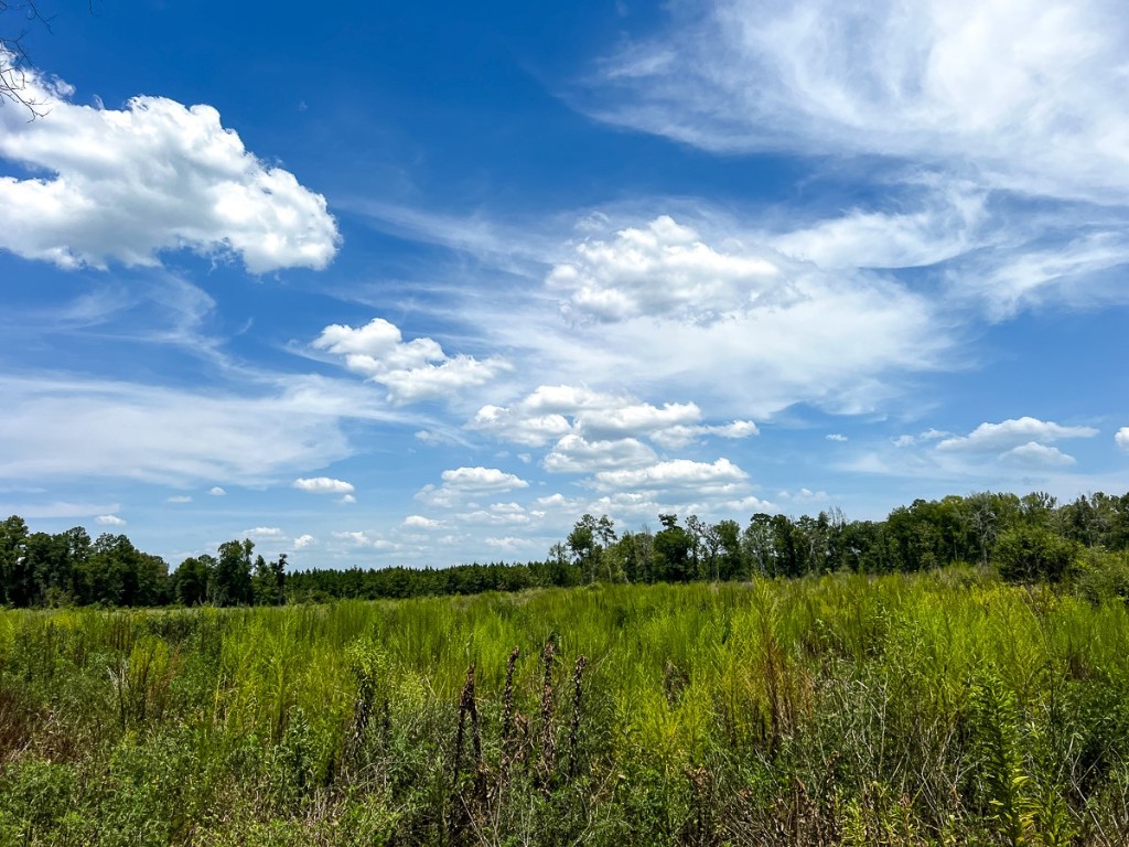 1 County Road 4085 Newton TX 75928