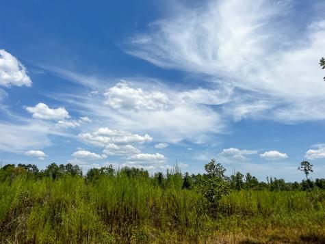 1 County Road 4085 Newton TX 75928