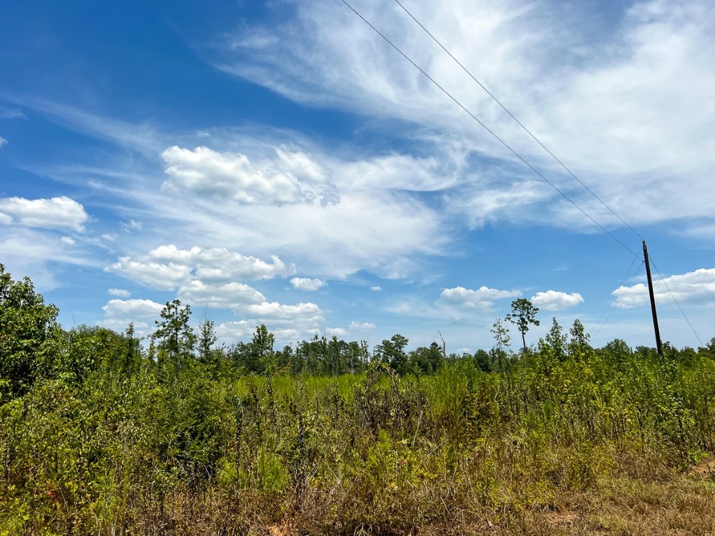 1 County Road 4085 Newton TX 75928