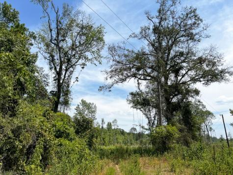 1 County Road 4085 Newton TX 75928
