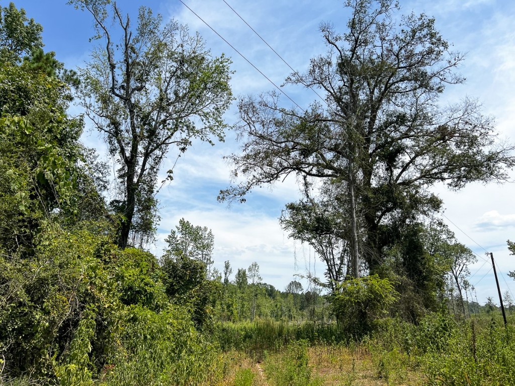 1 County Road 4085 Newton TX 75928