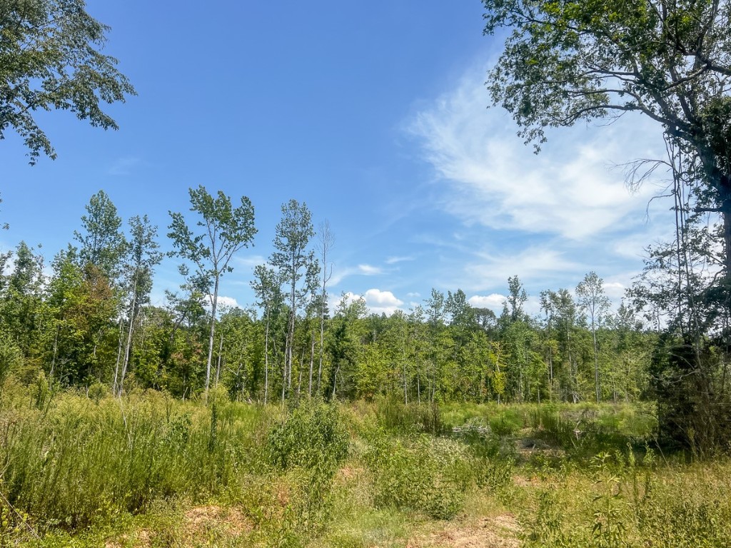 1 County Road 4085 Newton TX 75928