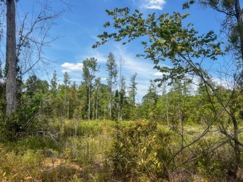 1 County Road 4085 Newton TX 75928