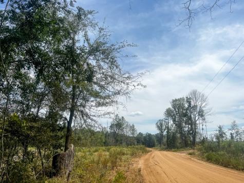 1 County Road 4085 Newton TX 75928